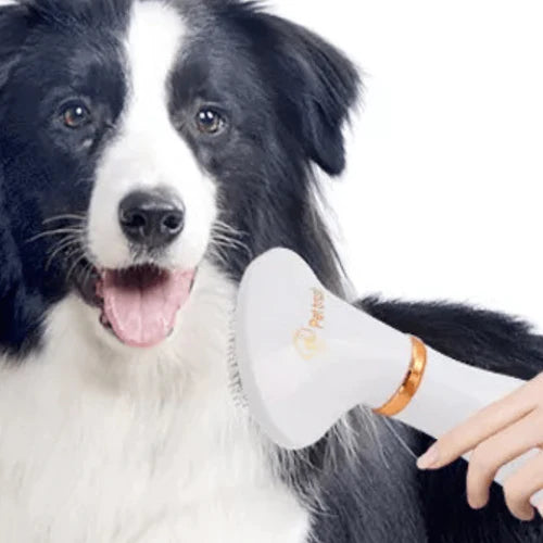 Dog Hair Dryer 2-in-1 Brush And Dryer